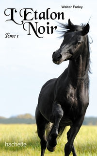 L'étalon noir 01 NED - L'étalon noir