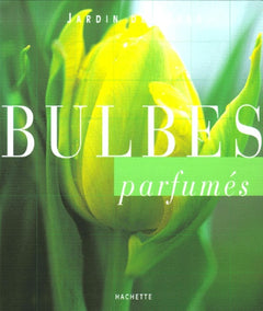 Bulbes parfumés