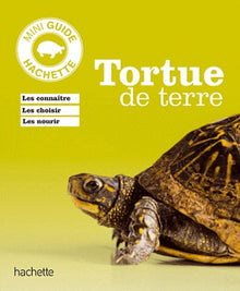 Tortue de terre
