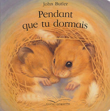 Pendant que tu dormais