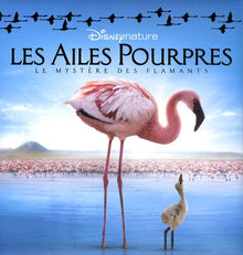Les ailes pourpres