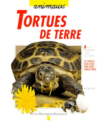 Tortues de terre