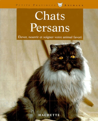 Les chats persan