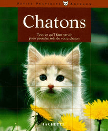 Chatons