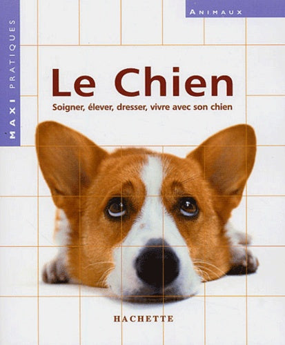 Le Chien