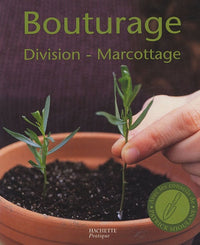 Bouturage, division, marcottage