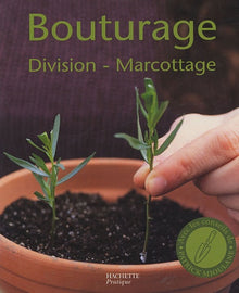 Bouturage, division, marcottage