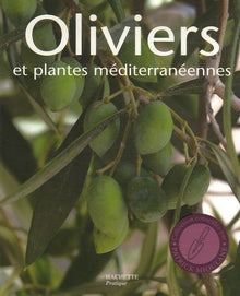 Oliviers et plantes méditerranéennes
