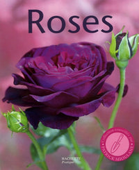 Roses: 100 variétés de roses