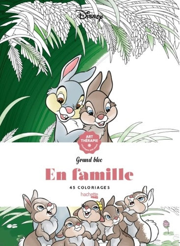 Disney en famille