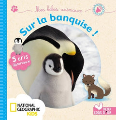 Mes bébés animaux sur la banquise !