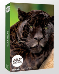 Wild Immersion - Agenda 2024/2025: Agenda