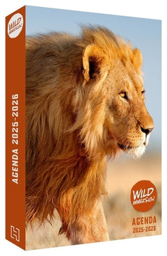 Wild Immersion - Agenda 2025/2026: Agenda