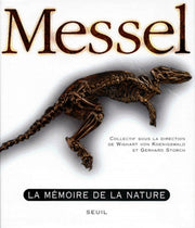 Messel : la mémoire de la nature