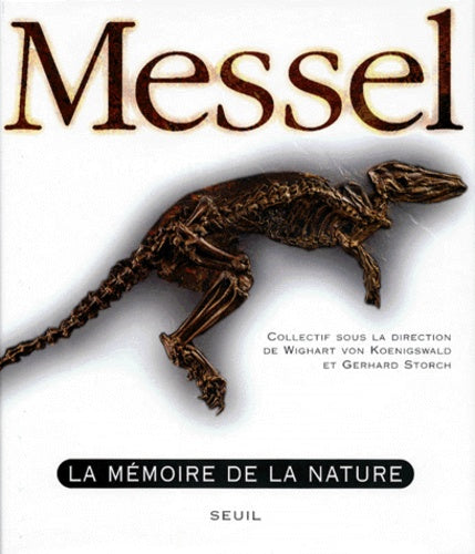 Messel : la mémoire de la nature