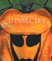 Portraits d'insectes