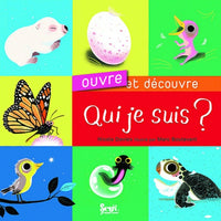 Qui je suis ?