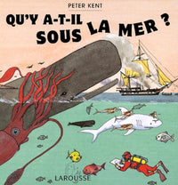 Qu'y a-t-il sous la mer ?