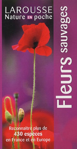 Fleurs sauvages