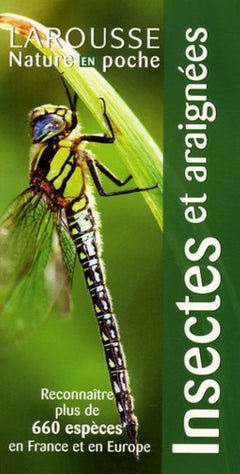 Insectes et araignées