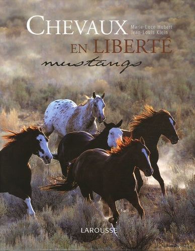 Chevaux en liberté: Mustangs