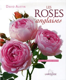 Les roses anglaises