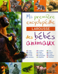 Hae - jeu de société - Ma 1ère encyclo bébé animaux
