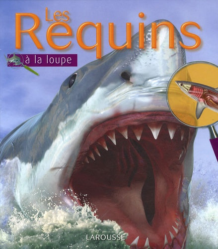 Les requins