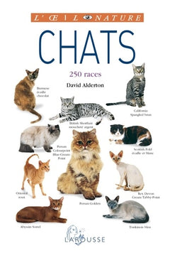 Chats - nouvelle présentation