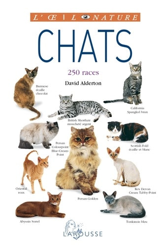 Chats - nouvelle présentation