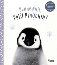 Bonne nuit petit pingouin