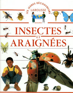 Insectes et araignées