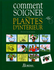 Comment soigner vos plantes d'intérieur