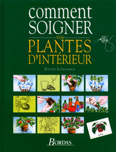 Comment Soigner Vos Plantes D'Interieur