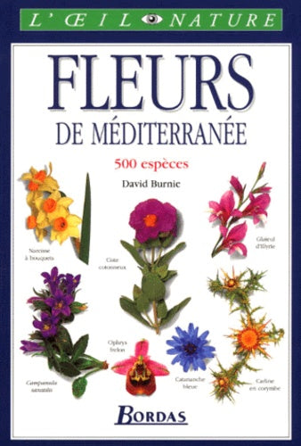 Les fleurs de Méditerranée