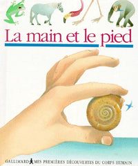 Le pied