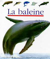 La baleine