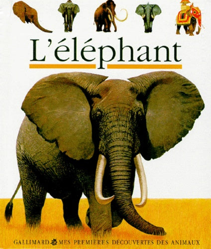 L'éléphant
