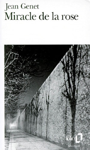 Miracle de la rose