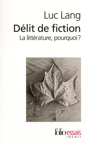Délit de fiction