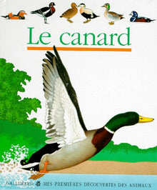 Le canard