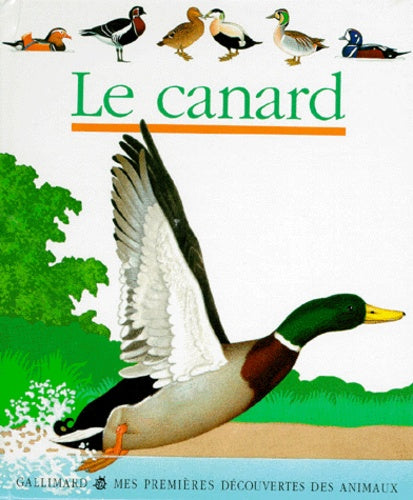 Le canard