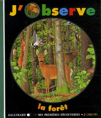 J'observe la forêt