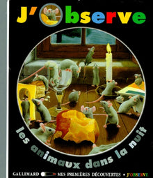 Les animaux dans la nuit