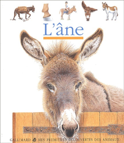 L'âne