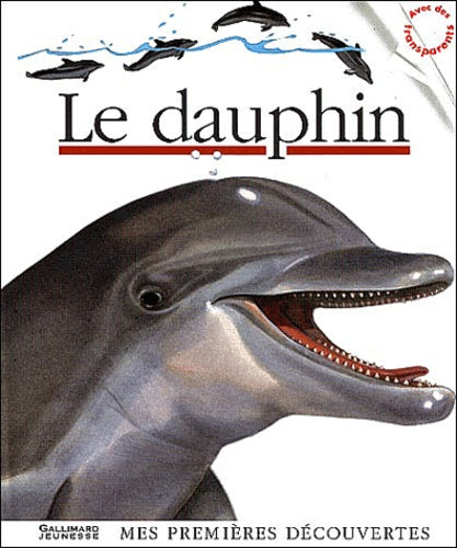 Le Dauphin