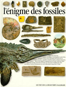 L'enigme des fossiles