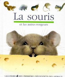 La souris et les autres rongeurs