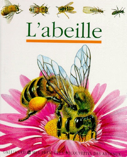 L'abeille