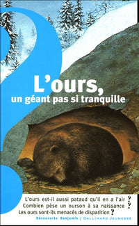L'ours, un géant pas si tranquille
